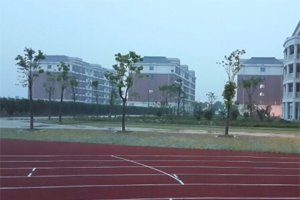 上海枫叶国际学校运动场
