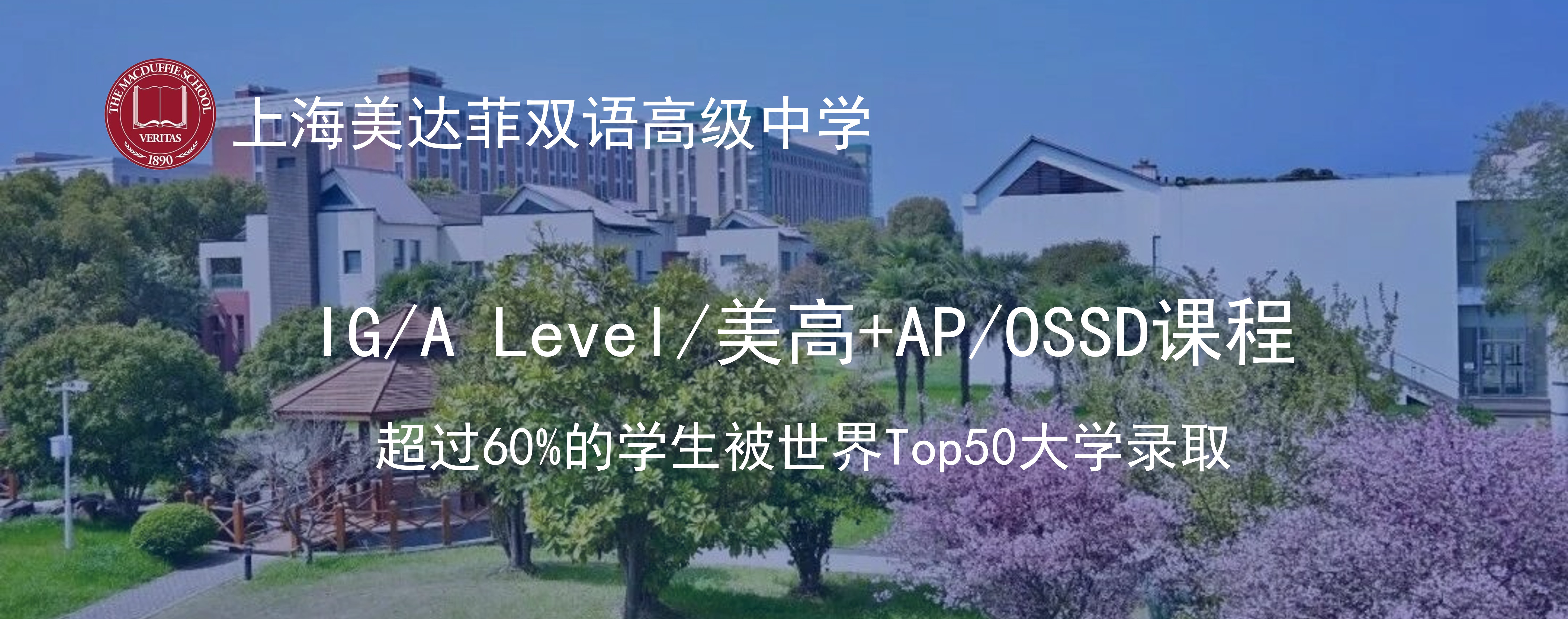 上海美达菲双语高级中学