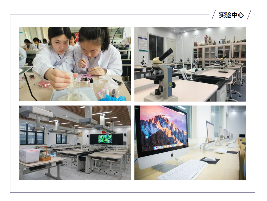 上海浦东新区东鼎外国语学校 - 第8张 - 择校360网 上海浦东新区东鼎外国语学校 - 第8张