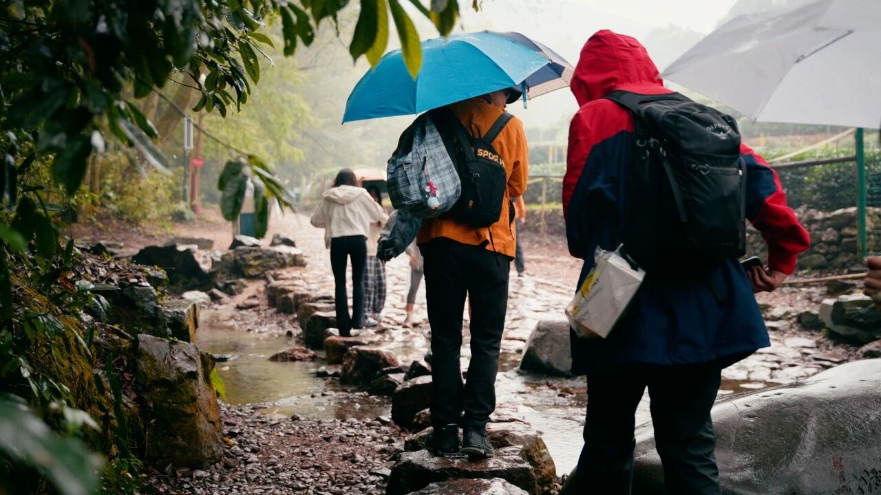 协和十年级杭州之行:烟雨茶山间锤炼意志,西湖畔携手凝聚真情 - 第2张 - 择校360网 协和十年级杭州之行:烟雨茶山间锤炼意志,西湖畔携手凝聚真情 - 第2张
